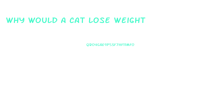 Why Would A Cat Lose Weight