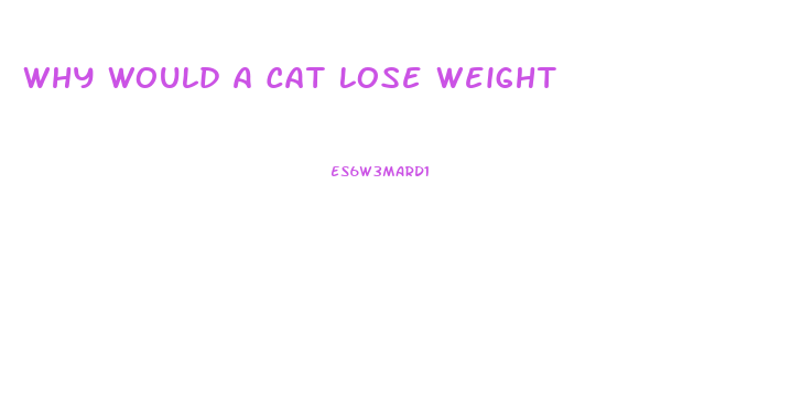 Why Would A Cat Lose Weight
