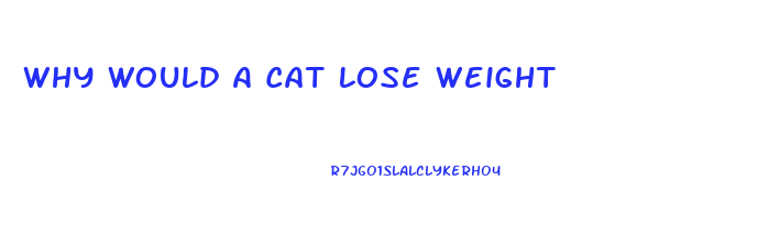 Why Would A Cat Lose Weight