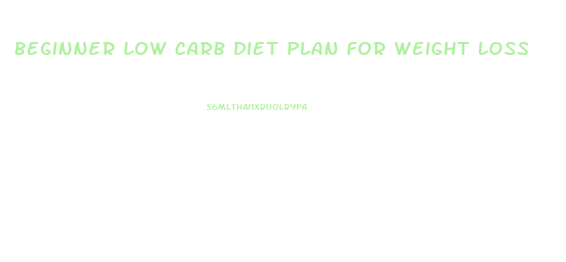 beginner low carb diet plan for weight loss