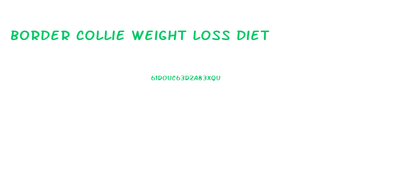 border collie weight loss diet