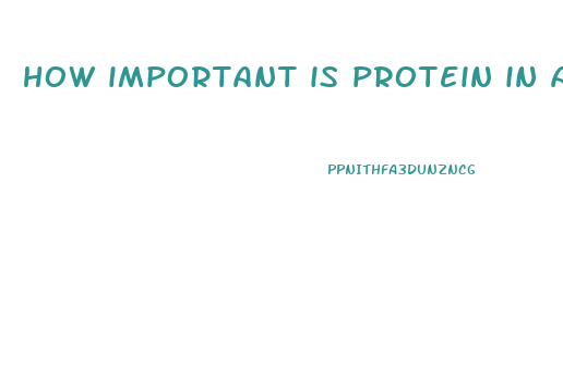 how important is protein in a diet weight loss