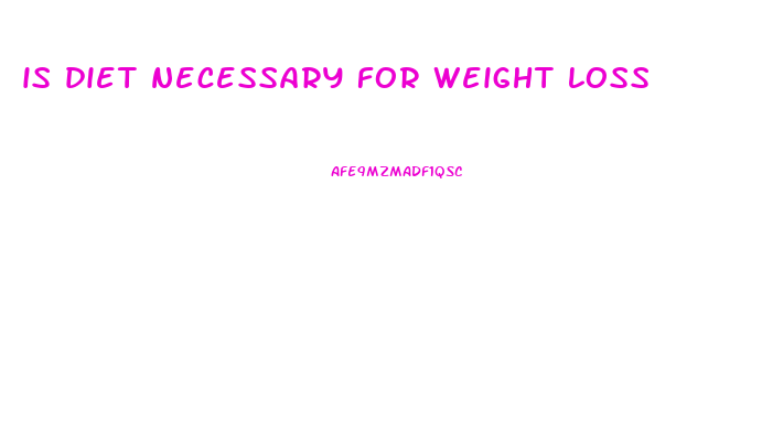 is diet necessary for weight loss