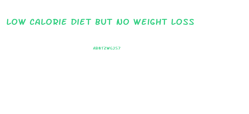 low calorie diet but no weight loss