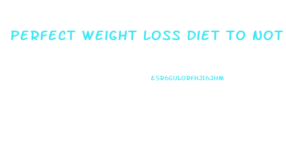 perfect weight loss diet to not feel full program