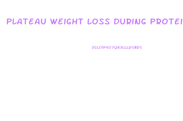 plateau weight loss during protein liquid diet