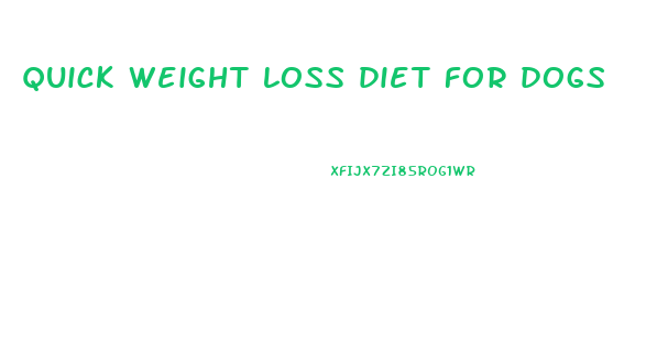 quick weight loss diet for dogs