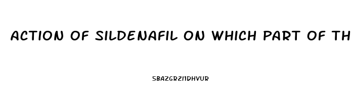 Action Of Sildenafil On Which Part Of The Penis