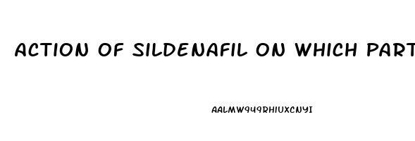 Action Of Sildenafil On Which Part Of The Penis