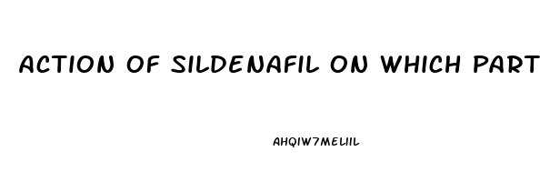 Action Of Sildenafil On Which Part Of The Penis