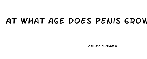 At What Age Does Penis Growth Stop