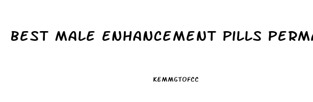 Best Male Enhancement Pills Permanent Results