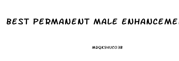 Best Permanent Male Enhancement Pills