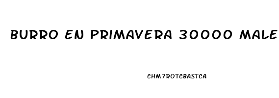 Burro En Primavera 30000 Male Enhancement Pills