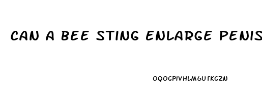 Can A Bee Sting Enlarge Penis