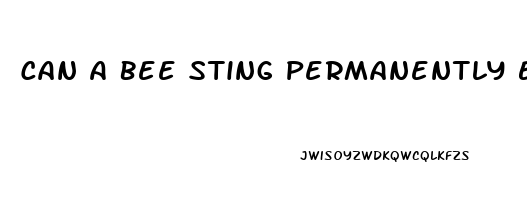 Can A Bee Sting Permanently Enlarge The Penis