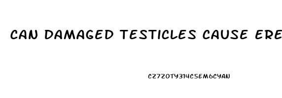 Can Damaged Testicles Cause Erectile Dysfunction