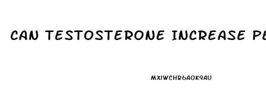 Can Testosterone Increase Penis Size