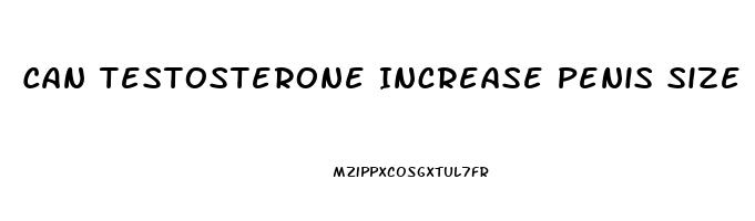 Can Testosterone Increase Penis Size