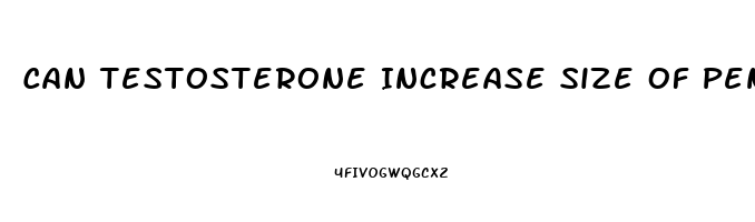 Can Testosterone Increase Size Of Penis