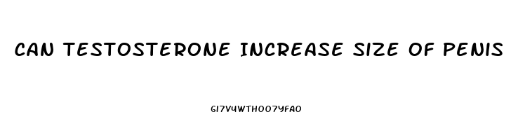 Can Testosterone Increase Size Of Penis