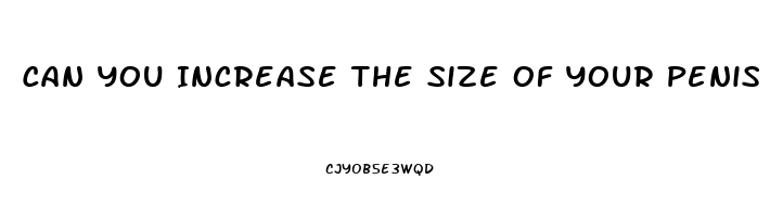 Can You Increase The Size Of Your Penis