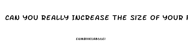 Can You Really Increase The Size Of Your Penis