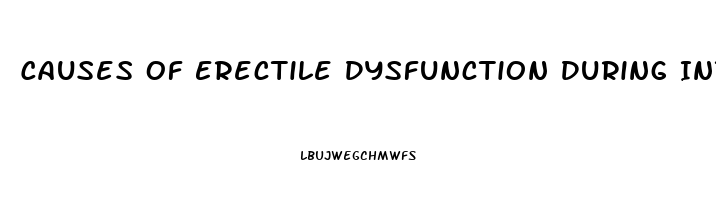 Causes Of Erectile Dysfunction During Intercourse