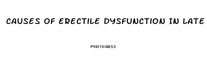 Causes Of Erectile Dysfunction In Late 30s