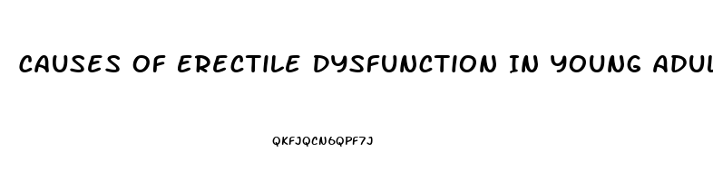 Causes Of Erectile Dysfunction In Young Adults