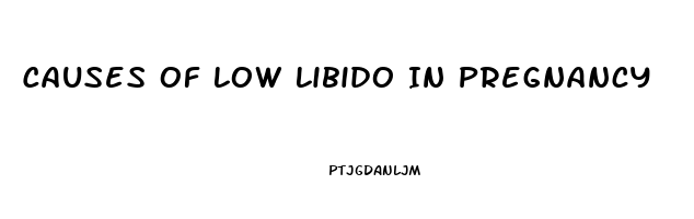 Causes Of Low Libido In Pregnancy