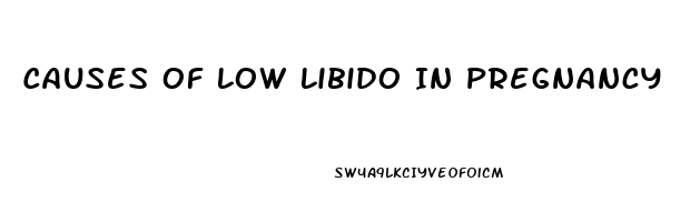 Causes Of Low Libido In Pregnancy