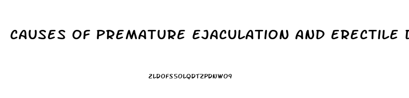 Causes Of Premature Ejaculation And Erectile Dysfunction