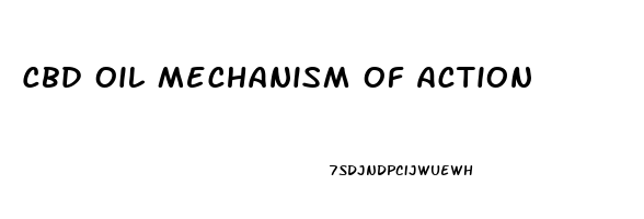 Cbd Oil Mechanism Of Action