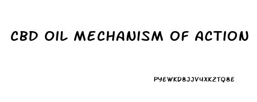 Cbd Oil Mechanism Of Action