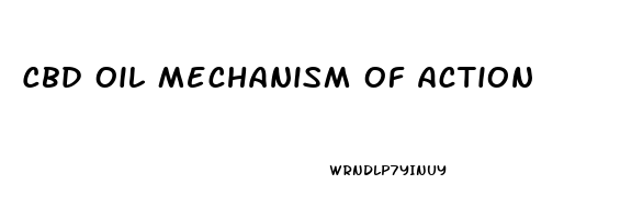 Cbd Oil Mechanism Of Action