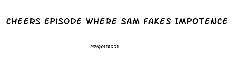 Cheers Episode Where Sam Fakes Impotence