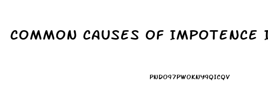 Common Causes Of Impotence In Males