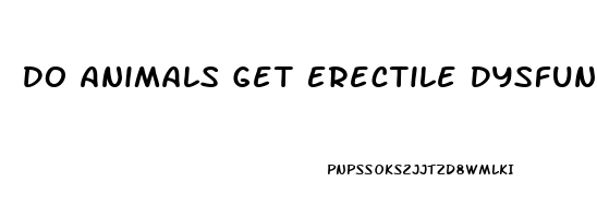 Do Animals Get Erectile Dysfunction