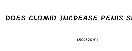 Does Clomid Increase Penis Size