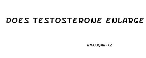 Does Testosterone Enlarge Your Penis