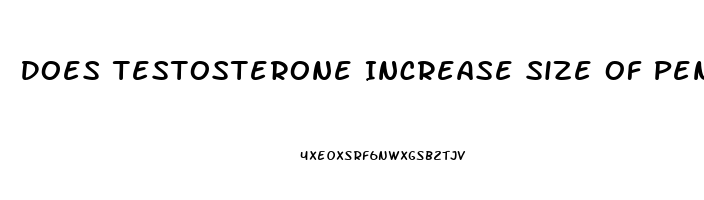 Does Testosterone Increase Size Of Penis