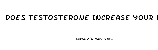 Does Testosterone Increase Your Penis Size