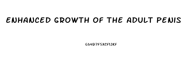 Enhanced Growth Of The Adult Penis With Vitamin D 3