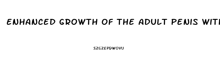 Enhanced Growth Of The Adult Penis With Vitamin D 3