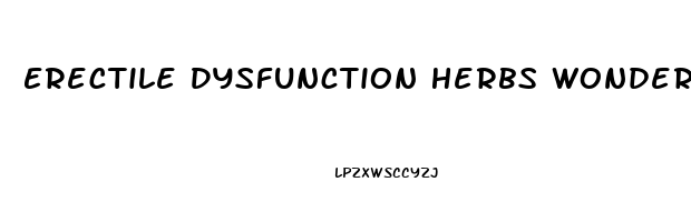 Erectile Dysfunction Herbs Wonder What Works