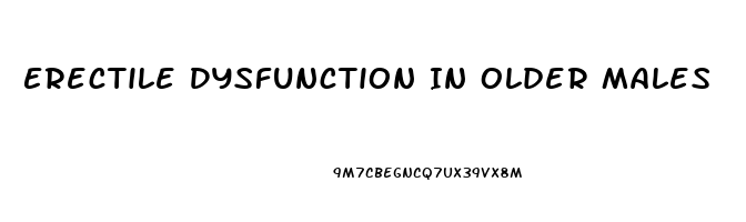 Erectile Dysfunction In Older Males