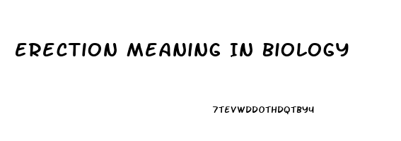 Erection Meaning In Biology