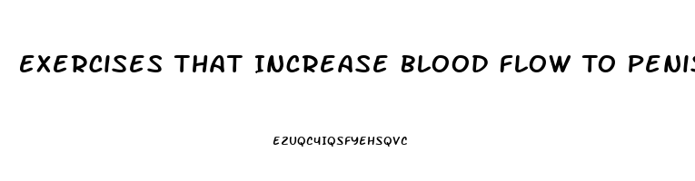 Exercises That Increase Blood Flow To Penis