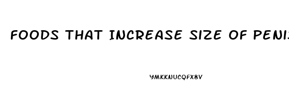 Foods That Increase Size Of Penis